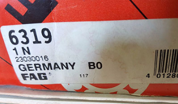 FAG 6319 bearings